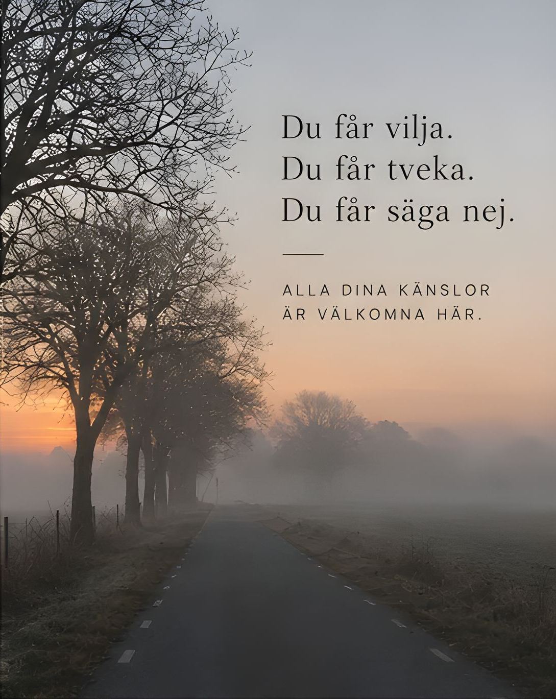 En väg genom dimma, med texten: Du får vilja. Du får tveka. Du får säga nej. Alla dina känslor är välkomna här.